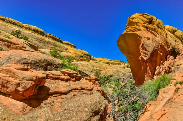 Paisaje Erosionado Parque Nacional Arches Moab Utah Estados Unidos — Foto de Stock