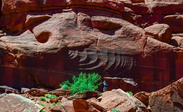 Formaciones Geológicas Capas Rocas Rojas Parque Nacional Canyonlands Encuentra Utah — Foto de Stock