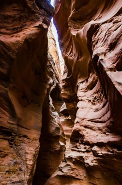 Kanyondaki su ve rüzgar uçurumları tarafından aşınmış. Küçük Vahşi At Kanyonu. San Rafael Swell, Utah ABD