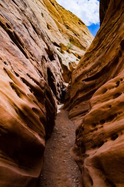 Kanyondaki su ve rüzgar uçurumları tarafından aşınmış. Küçük Vahşi At Kanyonu. San Rafael Swell, Utah ABD