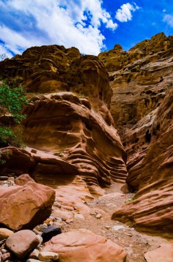 Kanyondaki su ve rüzgar uçurumları tarafından aşınmış. Küçük Vahşi At Kanyonu. San Rafael Swell, Utah ABD