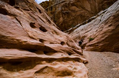 Kanyondaki su ve rüzgar uçurumları tarafından aşınmış. Küçük Vahşi At Kanyonu. San Rafael Swell, Utah ABD