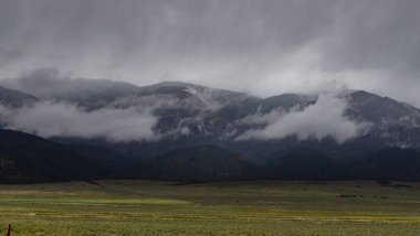 Alçak asılı bulutlarla kaplı orman dağları, ABD