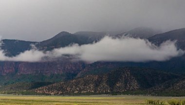 Alçak asılı bulutlarla kaplı orman dağları, ABD