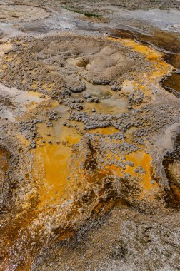 Yosun-bakteriyel paspaslar. Sıcak termal yay, Yellowstone NP 'de sıcak havuz. Wyoming, ABD