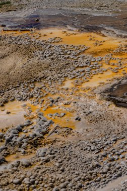 Yosun-bakteriyel paspaslar. Sıcak termal yay, Yellowstone NP 'de sıcak havuz. Wyoming, ABD