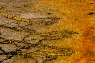 Yosun-bakteriyel paspaslar. Sıcak termal yay, Yellowstone NP 'de sıcak havuz. Wyoming, ABD