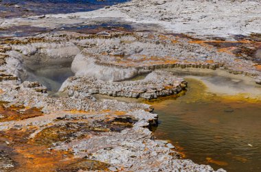 Kaynar su kaynayan gayzer. Büyük patlamalarla aktif gayzer. Yellowstone NP, Wyoming, ABD