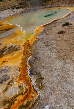 Yosun-bakteriyel paspaslar. Sıcak termal yay, Yellowstone NP 'de sıcak havuz. ABD