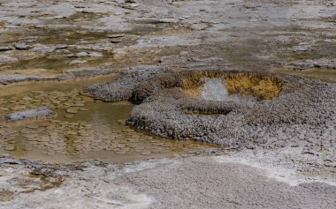 Kaynar su kaynayan gayzer. Büyük patlamalarla aktif gayzer. Yellowstone NP, Wyoming, ABD