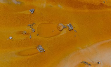 Yosun-bakteriyel paspaslar. Sıcak termal yay, Yellowstone NP 'de sıcak havuz. ABD