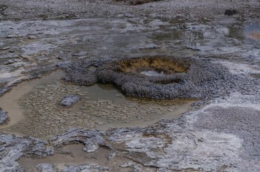 Kaynar su kaynayan gayzer. Büyük patlamalarla aktif gayzer. Yellowstone NP, Wyoming, ABD