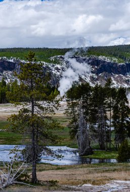 Kaynar su kaynayan gayzer. Büyük patlamalarla aktif gayzer. Yellowstone NP, Wyoming, ABD