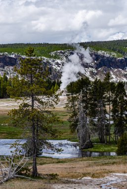 Kaynar su kaynayan gayzer. Büyük patlamalarla aktif gayzer. Yellowstone NP, Wyoming, ABD
