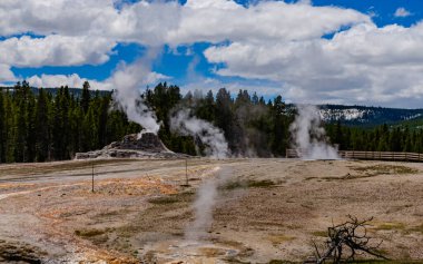 Kaynar su kaynayan gayzer. Büyük patlamalarla aktif gayzer. Yellowstone NP, Wyoming, ABD