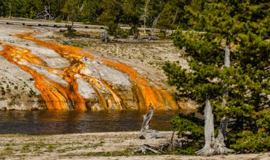 Yosun-bakteriyel paspaslar. Sıcak termal yay, Yellowstone NP ABD 'de sıcak havuz