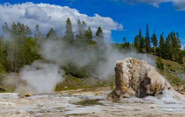 Kaynar su kaynayan gayzer. Büyük patlamalarla aktif gayzer. Yellowstone Ulusal Parkı, Wyoming, ABD