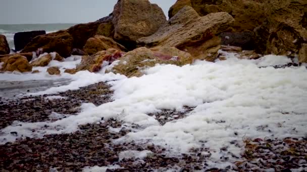 Espuma Suja Água Praia Eutrofização Poluição Reservatório Problema Ecológico — Vídeo de Stock