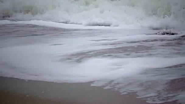 해변에 더러운 마이닝 생태계 — 비디오