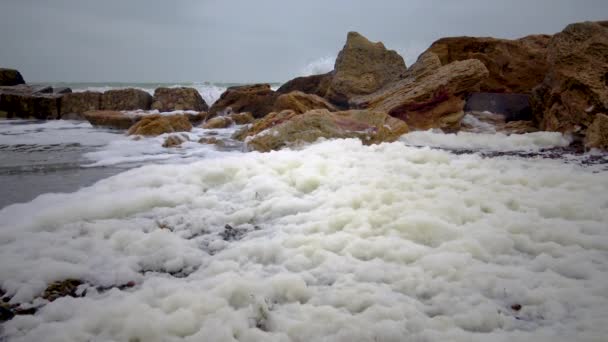 Dirty foam on the water and the seashore, eutrophication, pollution of the reservoir, ecological problem