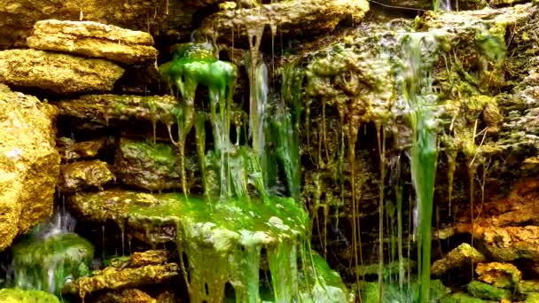 Grünalgen Enteromorpha Ulva Wachsen Einem Kleinen Wasserfall Mit Salzwasser Tiligul — Stockvideo