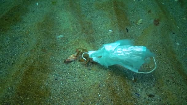 Large Crab Entangled Medical Mask Ocean Pollution Plastic Debris Black — Stock Video