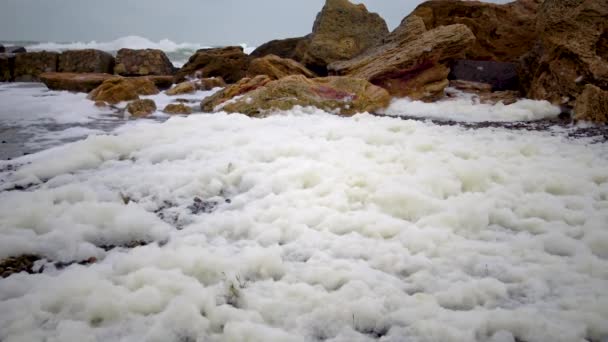 Espuma Suja Água Praia Eutrofização Poluição Reservatório — Vídeo de Stock