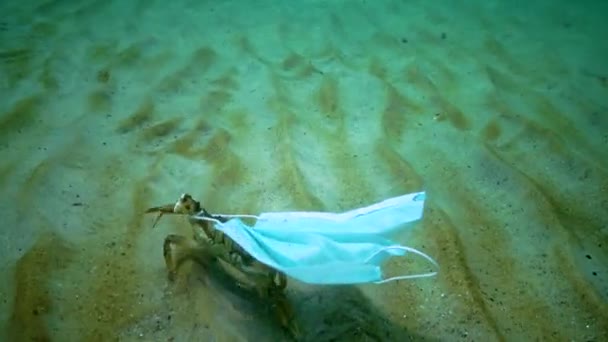 Grote Krab Verstrikt Medisch Masker Vervuiling Van Oceaan Met Plastic — Stockvideo