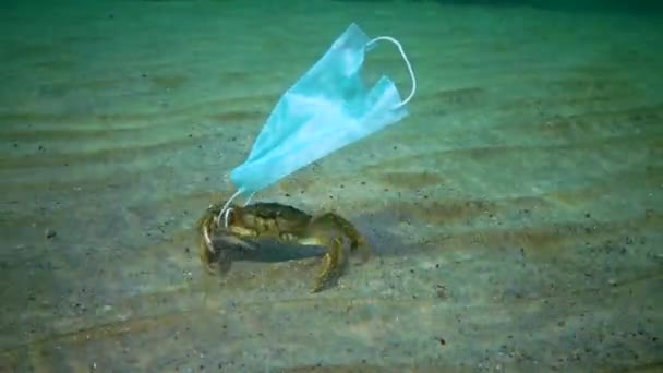 Cangrejo Grande Enredado Máscara Médica Contaminación Del Océano Con Desechos — Vídeo de stock