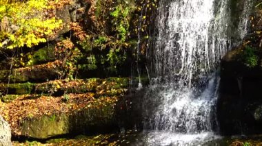 Sofievsky Park 'ta Şelale, Uman, Ukrayna