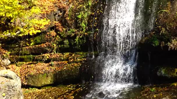 Waterval Sofievsky Park Uman Oekraïne — Stockvideo