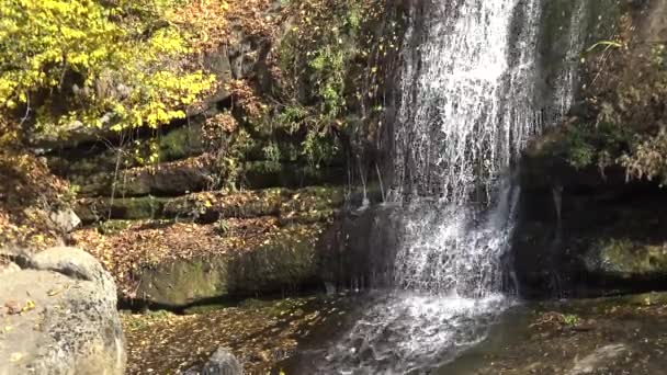 Waterval Sofievsky Park Uman Oekraïne — Stockvideo