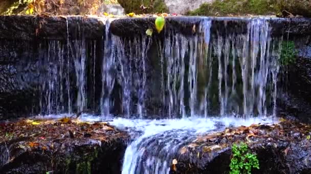 Cascada Sofievsky Park Uman Ucrania — Vídeo de stock