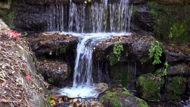 Waterval Sofievsky Park Uman Oekraïne — Stockvideo