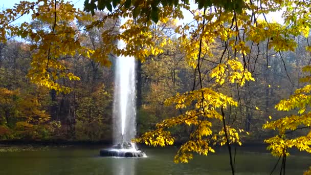 Ucrania Uman Octubre 2019 Una Niña Mira Una Fuente Serpenteante — Vídeo de stock