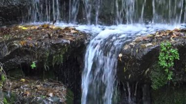 Sofievsky Park 'ta Şelale, Uman, Ukrayna