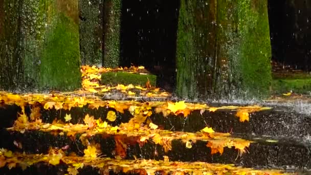 Otoño Agua Una Cascada Cae Sobre Hojas Amarillas Sofievsky Park — Vídeos de Stock