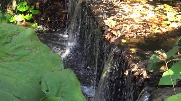 Vattenfall Sofievsky Park Uman Ukraina — Stockvideo