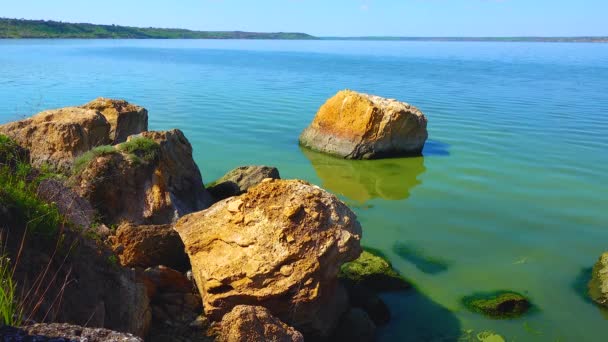 Škodlivý Rozkvět Řas Microcystis Aeruginosa Enteromorpha Khadžibeyskyi Liman Ukrajina — Stock video