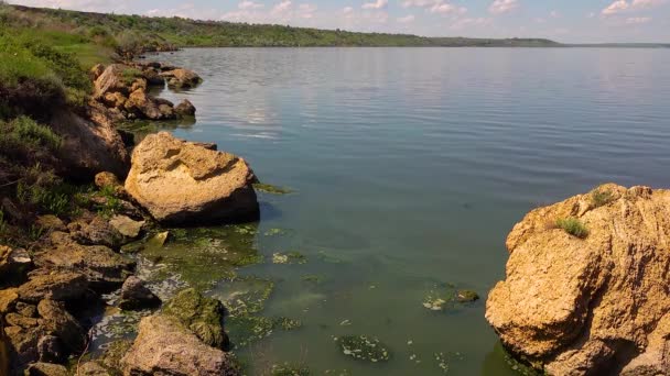 ウクライナのKhadzhibeysky Limanにある有害な藻類の花 Microcystis Aeruginosa とEnterforma — ストック動画