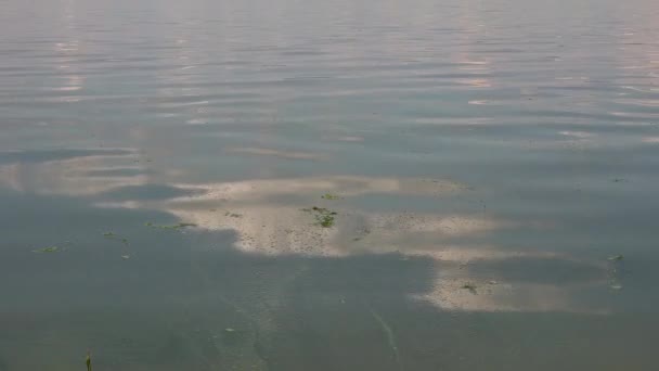 Réflexion Solaire Dans Eau Éblouissement Vagues Dans Eau Boueuse — Video