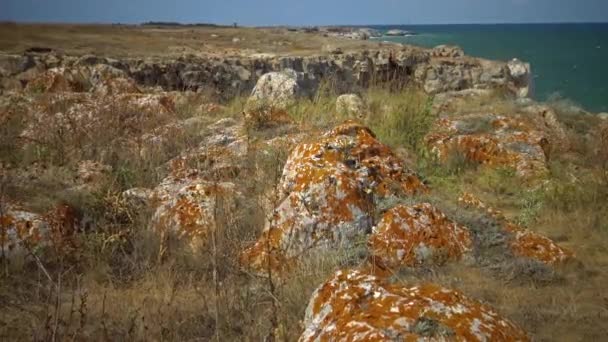 Gele Korstmossen Stenen Bij Het Dorp Tyulenovo Bulgarije — Stockvideo