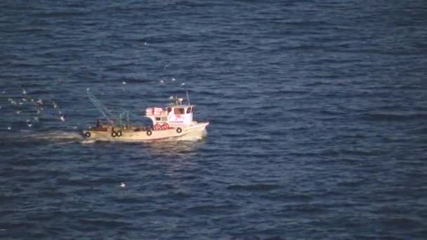 Troupeau Oiseaux Marins Suit Chalutier Pêche Bulgarie — Video