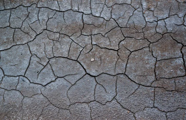 乾燥は 天然貯水池 ウクライナの海岸に白い塩の痕跡と緑の割れ — ストック写真