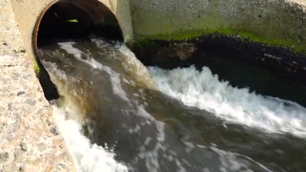 治療工場からの汚れた不十分な治療水は 天然貯水池に流れ込みます Khadzheby河口 ウクライナ — ストック動画