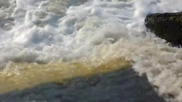 Schmutziges Schlecht Behandeltes Wasser Aus Der Kläranlage Fließt Ein Natürliches — Stockvideo