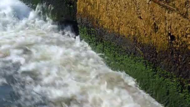 Vuil Slecht Behandeld Water Uit Zuiveringsinstallatie Stroomt Een Natuurlijk Reservoir — Stockvideo