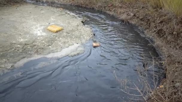 Pequeno Rio Com Água Preta Suja Flui Para Corpo Natural — Vídeo de Stock