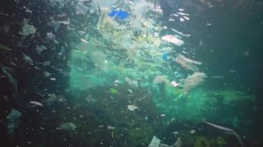 Deniz kirliliği. Sudaki plastik döküntüler, vahşi yaşamı öldürüyor. Plastik çöp ve suyun altında yüzen diğer döküntüler. Karadeniz, Bulgaristan