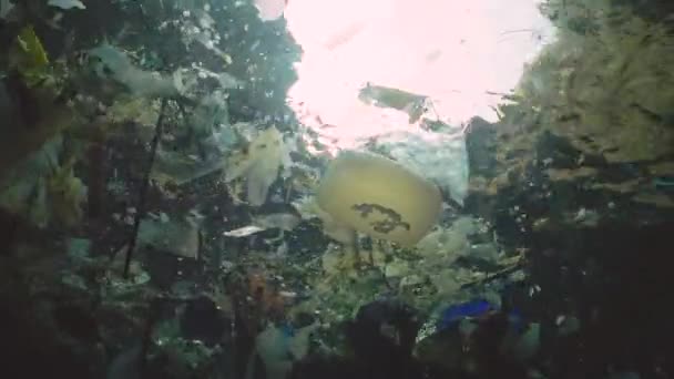 海洋污染 水里的塑料碎片 杀死野生动物 塑料垃圾和其他碎片漂浮在水下 保加利亚 — 图库视频影像